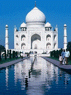 Perfil ElGallodeIndia