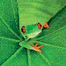 Perfil Ategua