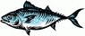 Perfil Boquerona Perita